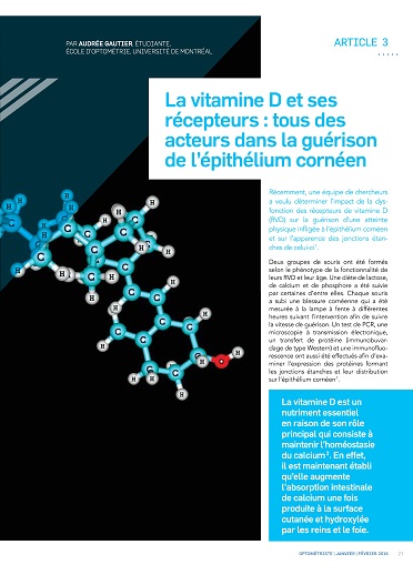 La vitamine D et ses récepteurs : tous des acteurs dans la guérison de l’épithélium cornéen